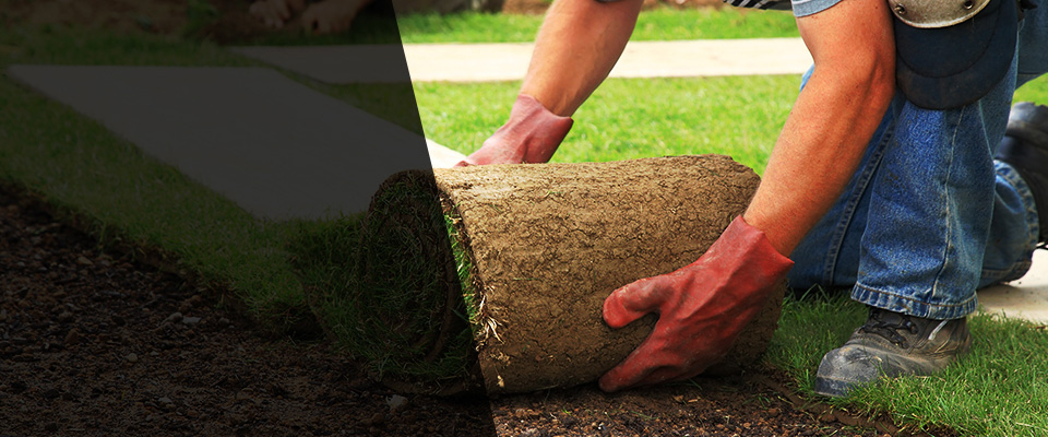 Monroe Landscapers